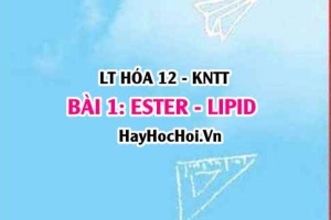 Ester, Lipid là gì? Cấu tạo Ester, tính chất vật lí, hóa học của Ester Chất béo, điều chế và ứng dụng? Hóa 12 bài 1 KNTT